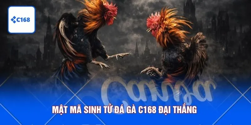 Mật mã sinh tử đá gà C168 đại thắng