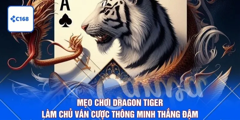 Mẹo Chơi Dragon Tiger - Làm Chủ Ván Cược Thông Minh Thắng Đậm